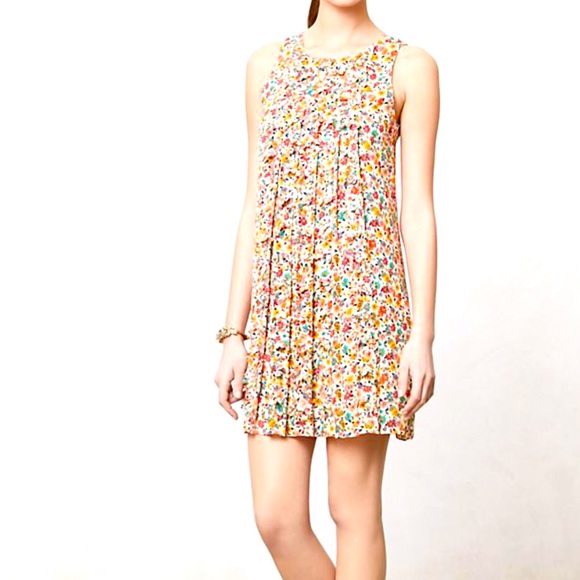 Anthropologie Confetti Flora Chiffon Swing Dress and Slip - Picture 1 of 2